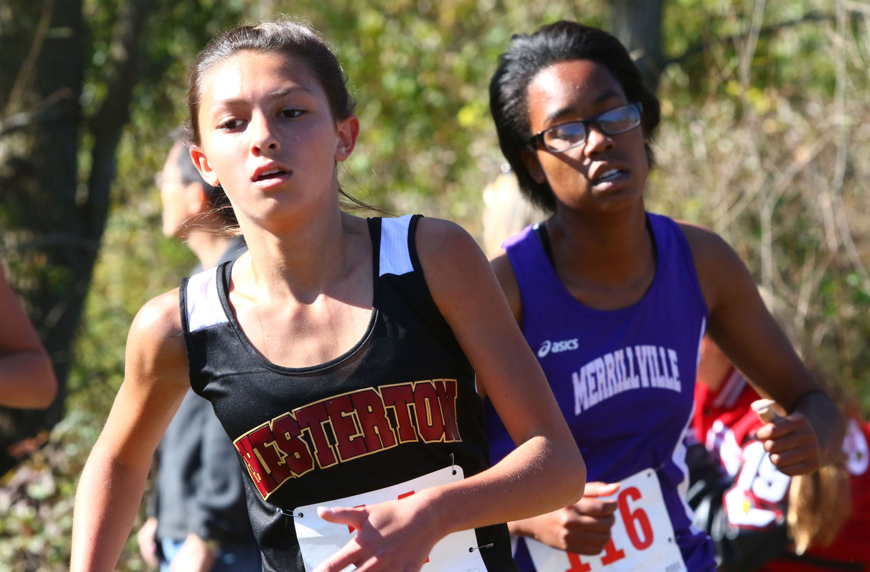 Gallery: Duneland Athletic Conference cross country meet